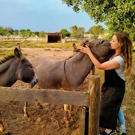 Volito Rural Experience Пату